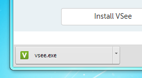 vsee security review