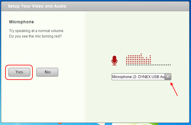 Screencap showing what the microphone calibration window looks like