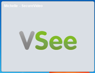 Screencap showing a muted camera