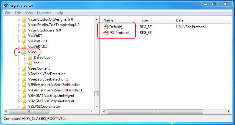 Screencap showing the VSee registry folder
