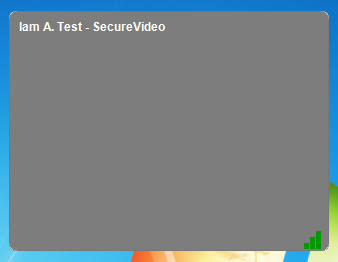 Screenshot showing video tile with camera turned off