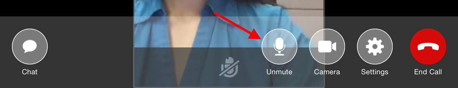 Unmute option, once the iPad has been muted
