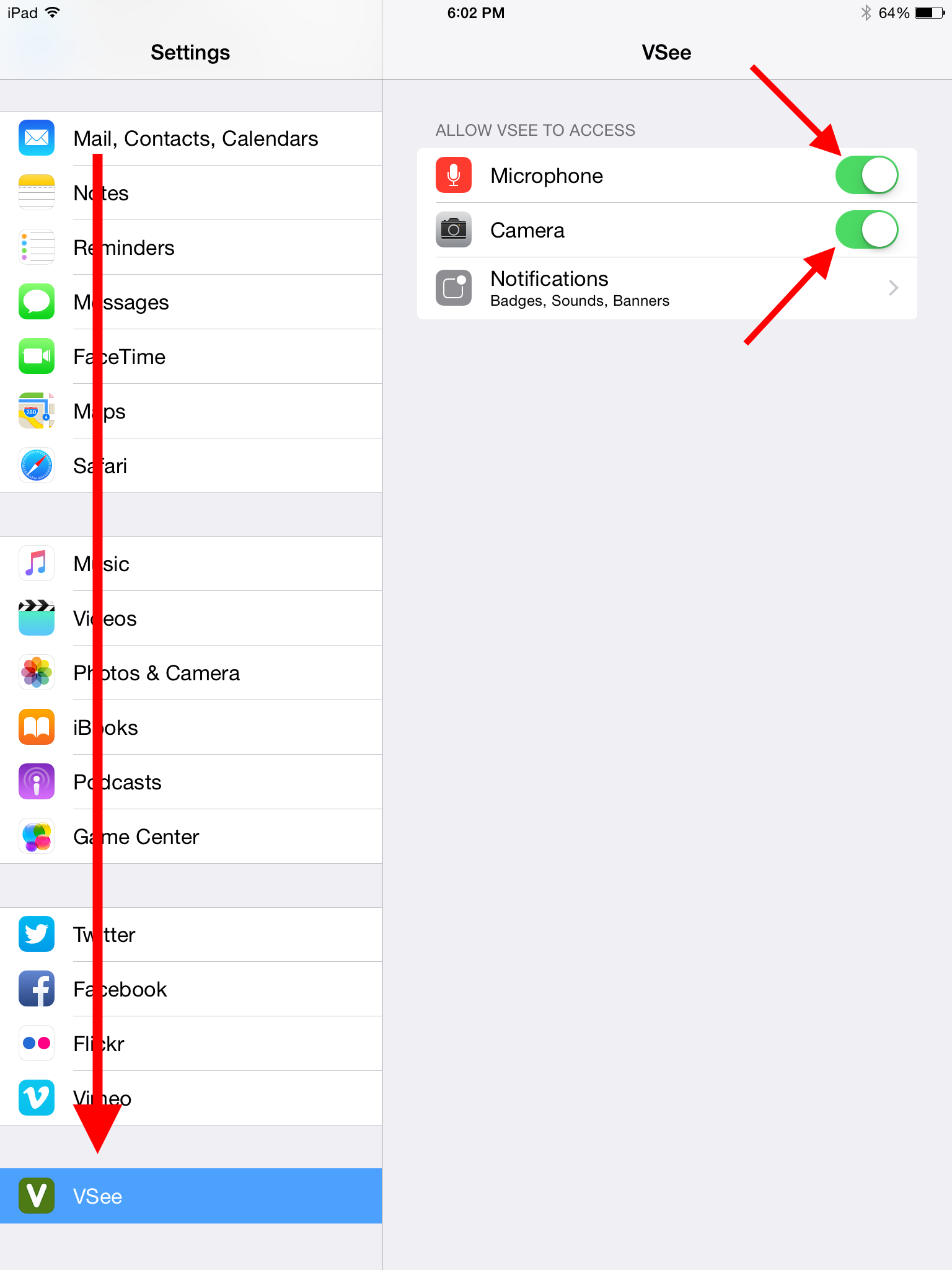 Allow VSee to access camera or microphone