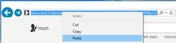 Paste into IE