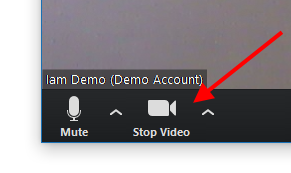 Zoom Basics: Mute and Stop Video - ClearCommunityWeb
