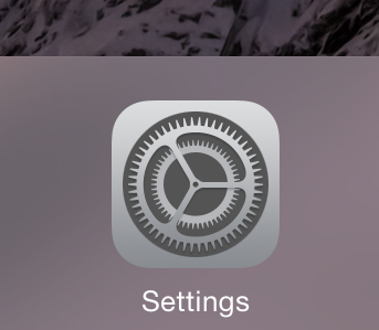 Settings icon in iOS