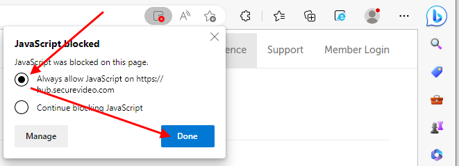"Always allow" option selected